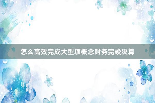 怎么高效完成大型项概念财务完竣决算